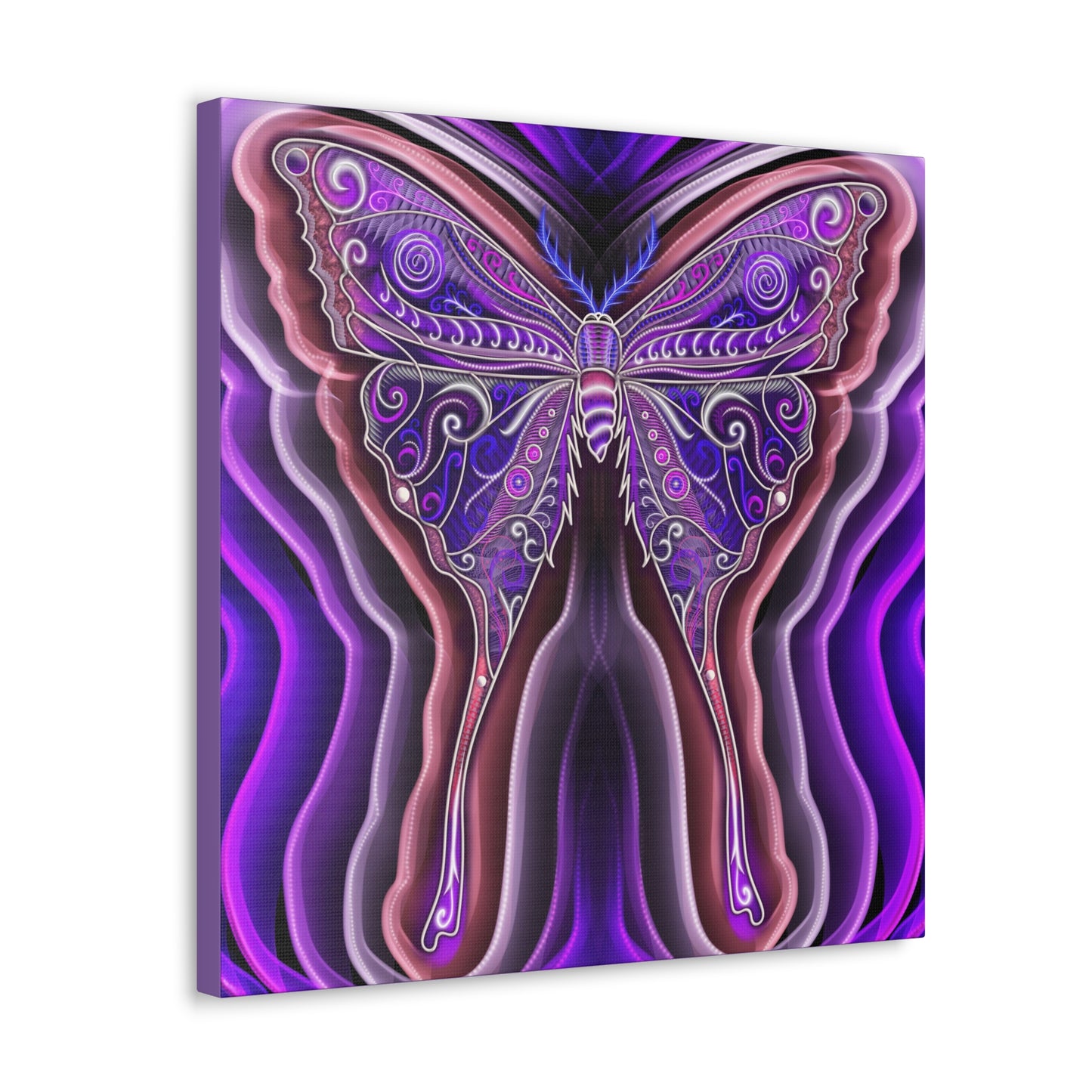 Moth Reverb Canvas Gallery Wraps